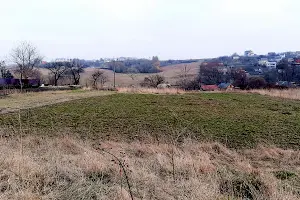 ділянка за адресою Лісова