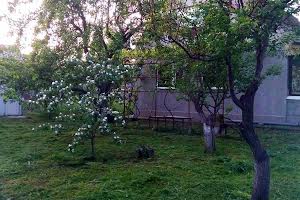 будинок за адресою Яблонева