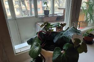 квартира по адресу Ивана и Юрия Лип ул. (Гайдара), 70