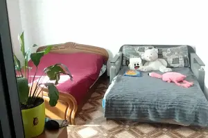 квартира по адресу Железняка ул., 20
