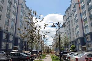 комерційна за адресою с. Петропавлівська борщагівка, Вул. Миру, 11а