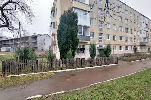 квартира за адресою Княгині Ольги вул., 6