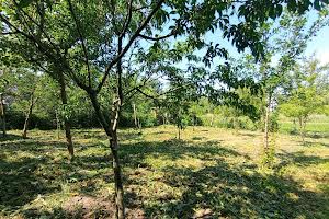 будинок за адресою Нова, 50