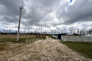 участок по адресу с. Дмитровка, Лісова, 1