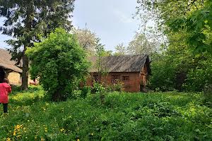 будинок за адресою с. Розсоша, Набережна