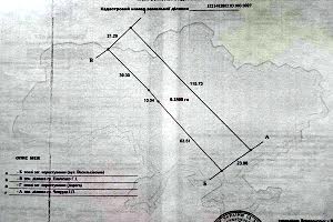 участок по адресу с. Беспятное, Васильківська