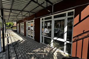 коммерческая по адресу Василя Стуса ул. (Пушкинская), 62л
