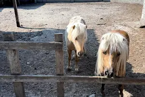 дом по адресу СТ Смарагд, 1