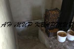 будинок за адресою Терешки, 100