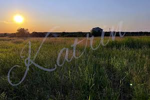 будинок за адресою с. Орлівщина, Кушіля О.