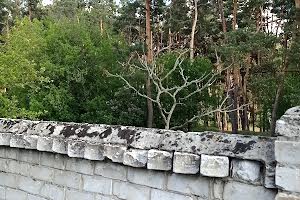 дом по адресу Циолковского въезд (Ціолковського), 18