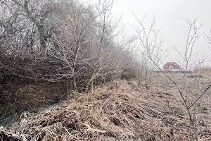 участок по адресу урочище Вільхи