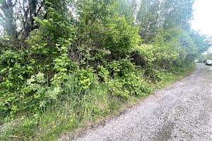 ділянка за адресою Джерельна