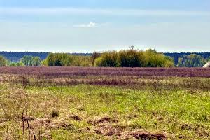 участок по адресу Луговая ул.