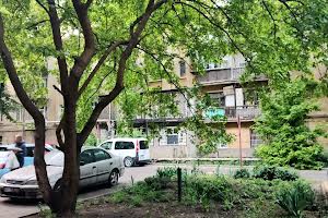 квартира за адресою Леонтовича вул. (Бєлінського), 6