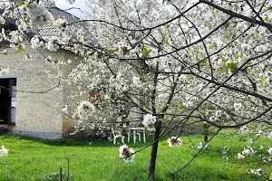будинок за адресою Польова вул., 6