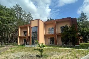 будинок за адресою с. Орлівщина, берегова