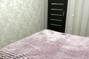 квартира по адресу Пороховая ул., 20