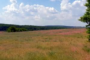 ділянка за адресою с. Ходосівка, Ходосівська сільська рада