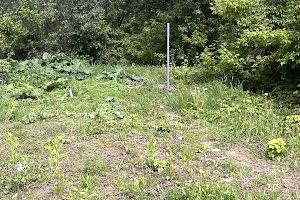 участок по адресу Пластовый пер. (Пионерский)