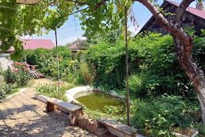 ділянка за адресою с. Алтестове, Промінь СК, 133