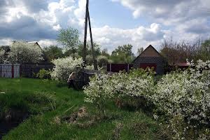 ділянка за адресою с. Петропавлівське (Петровське), 