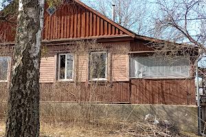 дом по адресу Володимира Великого, 14