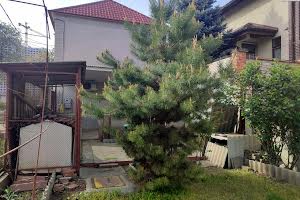 будинок за адресою Розовая, 22