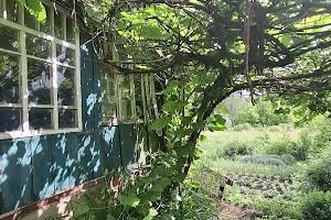 дом по адресу Запорізька