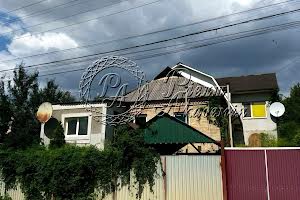 будинок за адресою Ватутіна пров., 159