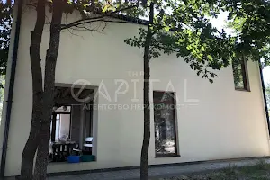 дом по адресу с. Дмитровка, Бучанський