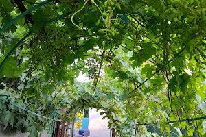 будинок за адресою Окружна вул.