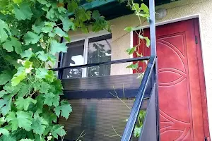 квартира по адресу Дача Ковалевского ул., 5