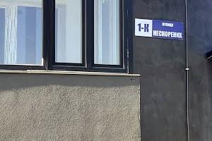 квартира за адресою Нескоренних, 1к
