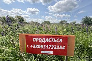 участок по адресу Демʼянів Лаз ул.