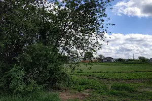 ділянка за адресою Жовтнева, 2