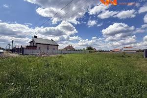 ділянка за адресою Старицького, 20