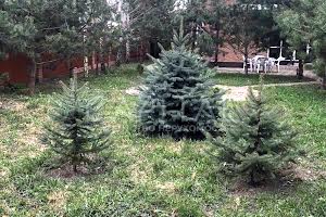 дом по адресу Осокорки