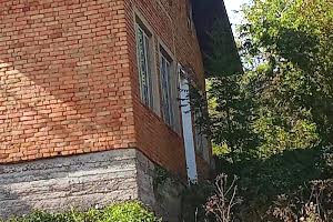 будинок за адресою смт. Верхнє Синьовидне, Січових Стрільців вул.