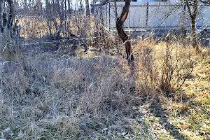 участок по адресу Лугова