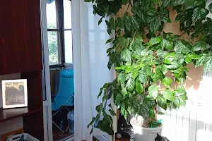 квартира по адресу Садовая ул., 19