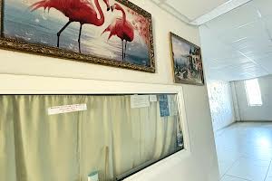 квартира по адресу Николая Боровского ул., 37х