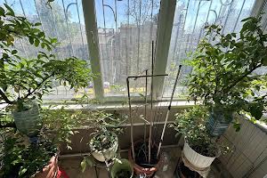 квартира за адресою Велика Арнаутська вул., 86
