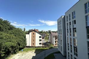 квартира за адресою Володимира Великого вул. (), 10