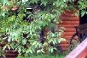 дом по адресу Довбуша, 12