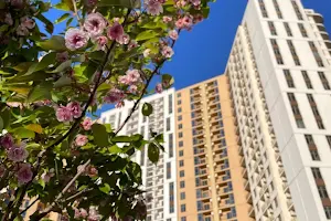 комерційна за адресою Краснова вул., 1-А