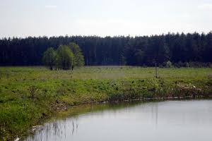 ділянка за адресою с. Березівка, 