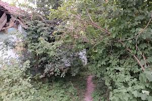 участок по адресу Зелена, 11