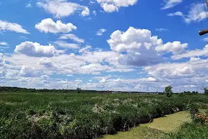 участок по адресу Леніна, 141А