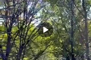 дом по адресу шевченка